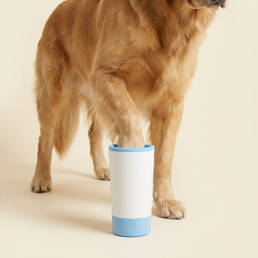 PawPure Cup image 1